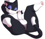  animal_crossing anthro domestic_cat felid feline felis foreskin genitals male mammal nintendo penis presenting punchy_(animal_crossing) shojiku solo video_games 