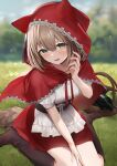  1girl :d animal_ears apron bangs basket blurry blurry_background blush boots bottle brown_hair capelet cbi_cbi eyebrows_visible_through_hair fang forest grass green_eyes hand_on_lap highres hood hood_up hooded_capelet little_red_riding_hood little_red_riding_hood_(grimm) looking_at_viewer nature open_mouth outdoors red_capelet red_hood red_skirt sash seiza short_hair sitting skirt sky smile solo sweatdrop tail wariza 