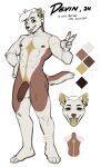  absurd_res anthro canid canine devin_(kyrosh) ear_piercing english_text flaccid genitals hi_res humanoid_genitalia humanoid_penis kyrosh male mammal model_sheet nipples penis piercing solo text 