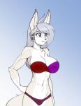  2022 abs absurd_res accessory alexandra_(scorpdk) anthro big_breasts blue_eyes braided_hair breasts canid canine canis chest_tuft clothing elbow_tufts eyebrow_through_hair eyebrows eyelashes female fur gloves_(marking) hair hair_accessory hand_on_hip hi_res inner_ear_fluff long_hair mammal markings muscular muscular_female navel panties scorpdk shoulder_tuft solo topwear translucent translucent_hair tube_top tuft underwear white_body white_fur wolf 