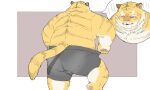  2022 anthro butt clothing felid humanoid_hands inunoshippo kemono male mammal overweight overweight_male pantherine solo tiger underwear yellow_body 