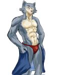  abs anthro beastars bottomwear canid canine canis clothed clothing fur half-naked hi_res legoshi_(beastars) looking_at_viewer majinjin23 male mammal muscular muscular_anthro muscular_male navel pecs portrait scar shirtless shorts solo three-quarter_portrait topless underwear wolf 