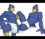  anthro avian bird briefs clothed clothing falco_lombardi hi_res jrjresq male nintendo solo star_fox topless towel towel_only underwear video_games white_clothing white_underwear 