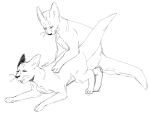  ambiguous_gender doggystyle duo ears_back feral from_behind_position gastropod hybrid intersex intersex/intersex looking_pleasured mollusk monochrome paw_on_back pivoted_ears rain_world sex simple_background sketch slugcat_(rain_world) thick_tail wirepup65 
