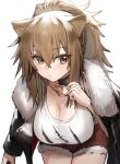  1girl animal_ears arknights bangs bent_over black_jacket blush breasts brown_eyes brown_hair candy cleavage closed_mouth collarbone cowboy_shot eyebrows_visible_through_hair food fur-trimmed_jacket fur-trimmed_shorts fur_trim hair_between_eyes highres holding holding_food jacket jacket_on_shoulders large_breasts lion_ears lollipop long_hair looking_at_viewer open_clothes open_jacket ponytail raw_egg_lent red_shorts shirt short_shorts shorts siege_(arknights) simple_background solo tank_top white_background white_shirt 