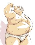  2022 anthro belly black_nose blush bodily_fluids bulge canid canine canis clothing domestic_dog humanoid_hands kemono male mammal moobs namihira_kousuke navel nipples overweight overweight_male solo sweat takagi_kyou trouble_(series) underwear 