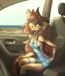  anthro apogee_(tinygaypirate) arm_tuft black_nose breasts brown_body brown_eyes brown_fur brown_hair canid canine canis car cheek_tuft cleavage clothed clothing cowlick day detailed_background domestic_dog ear_piercing elbow_tuft eyebrow_through_hair eyebrows facial_piercing facial_tuft female footwear fur furgonomics furry-specific_piercing gauged_ear hair hair_over_eye hand_on_leg hi_res inside long_hair looking_at_viewer mammal markings messy_hair muzzle_piercing nose_piercing one_eye_obstructed overalls piercing sitting smile socks solo spitz tinygaypirate translucent translucent_hair tuft vehicle water 