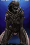  alien alien_(franchise) black_body digital_media_(artwork) doggystyle duo exoskeleton female from_behind_position genitals hi_res humanoid nihilophant nude open_mouth sex teeth teeth_showing xenomorph 