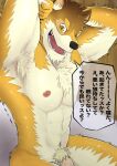  abs absurd_res anthro barrel_(live-a-hero) biceps canid canine canis dou_(pixiv) flaccid genitals hi_res japanese_text lifewonders live-a-hero looking_at_viewer male mammal muscular muscular_anthro muscular_male nude pecs penis penis_base solo text video_games wolf 