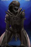  2:3 alien alien_(franchise) all_fours black_body digital_media_(artwork) doggystyle duo exoskeleton from_behind_position genitals hi_res humanoid male nihilophant nude open_mouth penis sex teeth teeth_showing xenomorph 