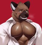  abs absurd_res aggressive_retsuko anthro big_muscles big_pecs blush bodily_fluids canid canine clothed clothing doggonut fur haida hair hi_res himbo hyaenid looking_at_viewer male mammal muscular muscular_anthro muscular_male musk nipples open_clothing open_shirt open_topwear pecs sanrio shirt simple_background smile solo spotted_hyena sweat topwear 