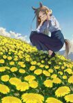  1girl absurdres animal_ears black_footwear blue_eyes blue_shirt blue_skirt breasts bright_pupils brown_hair buttons closed_mouth cloud dandelion field flower flower_field full_body grass_wonder_(umamusume) high_heels highres holding holding_flower horse_ears horse_girl horse_tail houkou_illust long_hair long_sleeves looking_at_viewer medium_breasts outdoors shirt shirt_tucked_in skirt smile solo squatting tail umamusume white_pupils 
