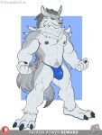  abs anthro bandai_namco biceps bulge canid canine canis clothing digimon digimon_(species) fur genitals grey_body grey_fur hi_res male mammal muscular muscular_anthro muscular_male navel nipples pecs penis simple_background solo spelunker_sal underwear weregarurumon wolf yellow_eyes 