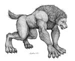  all_fours anthro canid canine claws male mammal rubbishturtle solo toe_claws were werecanid werecanine werewolf 