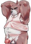 2022 anthro balls black_nose canid canine canis clothing domestic_dog erection genitals hi_res humanoid_genitalia humanoid_penis kemono male mammal moobs nipples overweight overweight_male penis shirt simple_background solo topwear ujishiyo white_background 