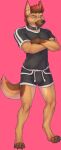  anthro biceps boxers_(clothing) brown_body brown_fur canid canine canis clothed clothing collar digital_drawing_(artwork) digital_media_(artwork) digital_painting_(artwork) domestic_dog fur german_shepherd hair herding_dog hi_res looking_at_viewer male mammal muscular muscular_anthro muscular_male pastoral_dog simple_background smile solo teinwilde underwear unknown_artist 