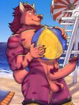  abs absurd_res anthro ball balls beach beach_ball big_penis blush bottomwear clothed clothing erection genitals hairy_balls hi_res hyaenid inflatable lifeguard_tower long_penis male mammal muscular muscular_male partially_clothed pecs penis pubes sea seaside shorts shorts_down solo striped_hyena wardraws water 