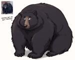  anthro bearafterall black_bear black_body black_fur claws fur hi_res male mammal overweight overweight_male simple_background solo text ursid ursine 