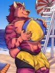  absurd_res anthro ball beach beach_ball big_penis body_hair bottomwear clothing foreskin genitals happy_trail hi_res hyaenid inflatable lifeguard_tower male mammal muscular muscular_male pecs penis penis_through_leghole poking_out sea seaside shorts smile solo striped_hyena umbrella wardraws water 