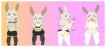  absurd_res anthro bimbofication blue_eyes breast_expansion breasts butt clothed clothing collar cream_hair expansion female fur genitals hair hi_res lagomorph leash legwear leporid mammal partially_clothed pink_eyes pussy rabbit razzybun sequence solo solo_focus stockings tan_body tan_fur transformation 