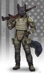  2022 absurd_res amber_eyes anthro black_body black_fur boots bulletproof_vest camo canid canine clothing footwear fur gloves gun hand_on_hip handwear hi_res inner_ear_fluff knee_pads looking_at_viewer male mammal pgm300 plantigrade ranged_weapon shotgun shoulder_pads solo stars_and_stripes tuft united_states_of_america weapon 