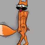  absurd_res anthro bladder_bulge bodily_fluids canid canine cartoon_network courage_the_cowardly_dog desperation fox genital_fluids hi_res illegaleel male mammal nipples nude omorashi peeing shaking solo the_cajun_fox urine wetting 