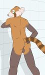  ailurid anthro anus balls biped brown_balls brown_body brown_fur brown_stripes bucklebunny butt cheek_tuft eyebrows facial_tuft fur genitals gloves_(marking) green_eyes grey_nose hand_on_butt hi_res inner_ear_fluff leaning leaning_forward looking_back male mammal markings orange_body orange_fur orange_stripes perineum presenting presenting_anus presenting_hindquarters rear_view red_panda shadow smile solo spread_butt spreading standing striped_body striped_fur striped_markings striped_tail stripes tail_markings tile tile_wall tuft wall_(structure) white_body white_eyebrows white_fur white_inner_ear_fluff 