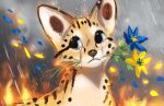  2022 ambiguous_gender blue_eyes day detailed_background digital_media_(artwork) felid feline flashlioness mammal outside raining serval 