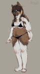  2022 anthro artist_name bangs barefoot belly belly_markings black_bra black_clothing black_panties black_underwear blonde_highlights blue_eyes bra breasts brown_body brown_fur brown_hair canid canine chubby_female claws clothed clothing countershade_arms countershade_breasts countershade_hands countershade_legs countershade_neck countershade_tail countershade_torso countershading curled_tail digital_media_(artwork) digital_painting_(artwork) english_text facial_markings feet female front_view full-length_portrait fur hair head_markings hi_res highlights_(coloring) leg_tuft mammal markings model_sheet multicolored_body multicolored_fur navel nude open_mouth panties partially_clothed pawpads paws petghost pink_pawpads plantigrade portrait simple_background slightly_chubby smile solo tan_background teeth text tuft two_tone_body two_tone_fur two_tone_tail underwear white_arms white_body white_countershading white_fur white_legs white_markings 