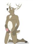  anthro antlers balls belly_tuft biped black_nose blue_eyes bodily_fluids brown_body brown_ears brown_fur brown_hooves brown_tail bucklebunny cervid erection fur genital_fluids genitals glans gloves_(marking) hi_res holding_penis hooves horn humanoid_genitalia humanoid_penis inner_ear_fluff kneeling male mammal markings navel nipples penis pink_glans pink_nipples pink_penis precum precum_on_own_penis precum_on_penis raised_head shadow simple_background smile solo tuft white_background white_balls white_body white_fur white_inner_ear white_inner_ear_fluff white_tail 