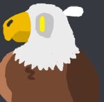  accipitrid accipitriform ambiguous_gender avian bald_eagle beak bird eagle feathers low_res sea_eagle 