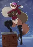  anthro breasts brolly_ferret chimney christmas christmas_clothing christmas_headwear clothing domestic_ferret female genitals hair hat headgear headwear hi_res holidays legwear mammal mustela mustelid musteline nipples pink_hair pink_nose pussy santa_hat snow snowing solo thigh_highs true_musteline yawg 