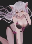  1girl animal_ears bakemonogatari bare_shoulders black_bra black_hanekawa black_panties black_underwear bra breasts cat cat_ears cat_girl cat_lingerie cat_tail cleavage collarbone eyebrows_visible_through_hair floating hair_between_eyes hanekawa_tsubasa large_breasts lingerie long_hair looking_at_viewer meme_attire monogatari_(series) panties paw_pose pointy_ears silver_hair sleeveless slit_pupils solo tail tomoshibi_(rokugatsu) underwear yellow_eyes 