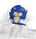  hedgehogblue02 hi_res male pubes pubes_exposed sega sonic_the_hedgehog sonic_the_hedgehog_(film) sonic_the_hedgehog_(series) 