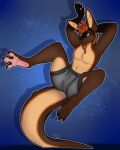  absurd_res anthro artist_dryliis beard facial_hair hi_res jack_(corax) kangaroo macropod male mammal marsupial pose sfw_version solo 