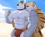  abs anthro beach biceps bulge canid canine clothing duo embrace eyebrows felid fur grey_body grey_fur hi_res hug huger_smot hugging_from_behind lifewonders live-a-hero male male/male mammal muscular muscular_anthro muscular_male nipples outside pantherine pecs ryekie_(live-a-hero) seaside speedo striped_body striped_fur stripes swimwear thick_eyebrows tiger video_games 