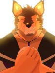  anthro bodily_fluids brown_body brown_fur crying crystal fur hi_res jewelry lifewonders live-a-hero male muscular muscular_anthro muscular_male necklace pubraseer smile smiling_at_viewer solo tears tears_of_joy usiaki5 video_games 