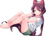  1girl :d animal_ears bangs bare_legs bare_shoulders between_legs brown_eyes brown_hair closed_mouth dog_ears dog_tail eyebrows_visible_through_hair flower from_side full_body green_shorts hair_flower hair_ornament hand_between_legs heterochromia highres inui_toko long_hair looking_at_viewer nijisanji red_eyes shirt short_shorts shorts smile solo sukuna136 tail twintails v_arms very_long_hair virtual_youtuber white_shirt 