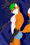  anthro canid canine clothed clothing ear_tuft fox green_eyes green_hair green_pubes hair hi_res inner_ear_fluff male mammal mr.brapion muscular muscular_male pecs pubes rask_spher solo thick_tail tuft underwear underwear_only 