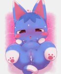  &lt;3 &lt;3_eyes 2022 3_toes after_sex animal_crossing anthro badwingm big_eyes blue_body blue_ears blue_fur blue_hair blue_tail blush blush_lines blush_stickers bodily_fluids border breasts brown_eyes butt colored cum cum_from_pussy cum_in_pussy cum_inside curled_tail dark_eyes digital_drawing_(artwork) digital_media_(artwork) domestic_cat ear_markings eyes_mostly_closed facial_markings featureless_breasts featureless_hands feet felid feline felis female front_view full-length_portrait fur genital_fluids genitals gloves_(marking) hair head_markings hi_res hindpaw humanoid_genitalia humanoid_pussy iris leaking leaking_cum leg_markings looking_at_genitalia looking_at_pussy looking_at_self looking_down looking_pleasured lying mammal markings musk narrowed_eyes nintendo noseless nude on_back open_mouth outside_border pawpads paws pink_background pink_inner_ear pink_pawpads pink_pupils pink_pussy pink_tongue portrait prick_ears pupils pussy rosie_(animal_crossing) semi-anthro shaded short_hair simple_background small_breasts socks_(marking) solo sweat toes tongue tongue_out two_tone_tail video_games white_border white_markings white_tail 