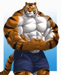  2011 anthro belt big_muscles black_body black_fur black_nose bottomwear clothed clothing echin felid flexing fur hi_res huge_muscles humanoid_hands looking_at_viewer male mammal mike_the_tiger muscular muscular_anthro muscular_male orange_body orange_fur pantherine shorts simple_background solo standing striped_body striped_fur stripes tiger topless whiskers white_body white_fur yellow_eyes 