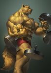  2019 5_fingers anthro big_muscles black_nose bottomwear brown_body brown_fur canid canine canis clothed clothing dumbbell echin exercise fingers fur hi_res huge_muscles humanoid_hands looking_at_viewer male mammal muscular muscular_anthro muscular_male nipples pink_nipples scar shorts simple_background solo standing topless weightlifting weights wolf workout 