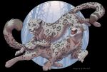  agent_(malaika4) felid female feral male male/female mammal murtiaz omega_lioness pantherine scar shalien snow_leopard 