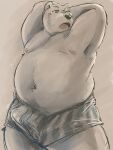  2022 akatadobuchiki anthro belly bulge clothing hi_res kemono male mammal navel nipples overweight overweight_male simple_background solo underwear ursid 