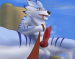 5_fingers abs animal_genitalia animal_penis anthro balls bandai_namco black_nose blue_body blue_fur bodily_fluids canid canine canine_penis canis chest_tuft digimon digimon_(species) dripping drooling ear_piercing english_text erection fingers first_person_view fur genital_fluids genitals holding_leash holding_object knot leash leashed_pov looking_at_viewer low-angle_view male mammal navel nude open_mouth outside penis piercing precum precum_drip presenting presenting_penis saliva scar sheath sheath_tuft sitting sky solo spread_legs spreading stitch_(disambiguation) stripes submissive submissive_pov sweat sweaty_balls sweaty_genitalia teeth text tongue tongue_out tuft vein veiny_penis vixxier were werecanid werecanine weregarurumon werewolf white_body white_fur wolf yellow_eyes 