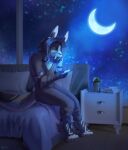  2022 4_toes 5_fingers bed black_hair clothed clothing detailed_background digital_media_(artwork) eri-yo feet fingers furniture hair hi_res hybrid male night on_bed sitting sky solo star starry_sky toes 