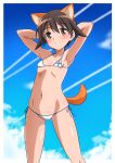  1girl animal_ears ass_visible_through_thighs bikini blush brown_eyes brown_hair covered_nipples dog_ears dog_tail flat_chest groin highres looking_at_viewer lowleg lowleg_bikini micro_bikini miyafuji_yoshika navel shiny shiny_hair shiny_skin short_hair side-tie_bikini skindentation solo standing strike_witches string_bikini swimsuit tail tricky_46 white_bikini world_witches_series 