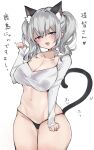  1girl alternate_costume animal_ears black_panties blouse blue_eyes breasts cat_ears cat_tail chigasaki_yukari cleavage commentary_request cowboy_shot highres kantai_collection kashima_(kancolle) large_breasts long_hair long_sleeves looking_at_viewer no_pants panties sidelocks silver_hair solo standing tail translation_request twintails underwear wavy_hair white_blouse 