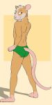  anthro biped black_eyebrows bucklebunny bulge cheek_tuft clothing digital_media_(artwork) eyebrows facial_tuft fur fur_markings glistening glistening_eyes gloves_(marking) green_clothing green_underwear hair half-closed_eyes hi_res inner_ear_fluff leg_markings looking_back male mammal markings narrowed_eyes neck_tuft orange_body orange_ears orange_fur pink_inner_ear pink_nose pink_tail rear_view red_eyes rodent shadow socks_(marking) solo standing tuft underwear white_body white_fur white_hair white_inner_ear_fluff white_markings 