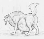  after_vore belly big_belly bodily_fluids drooling feral looking_back male quadruped raised_tail saliva thatgryphonguy tongue tongue_out traditional_media_(artwork) vore 